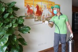Phun thuốc diệt muỗi hiệu quả