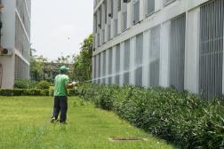 Phun thuốc diệt muỗi cho khách sạn