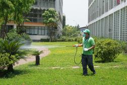 Dịch vụ phun thuốc diệt muỗi cho biệt thự, nhà vườn