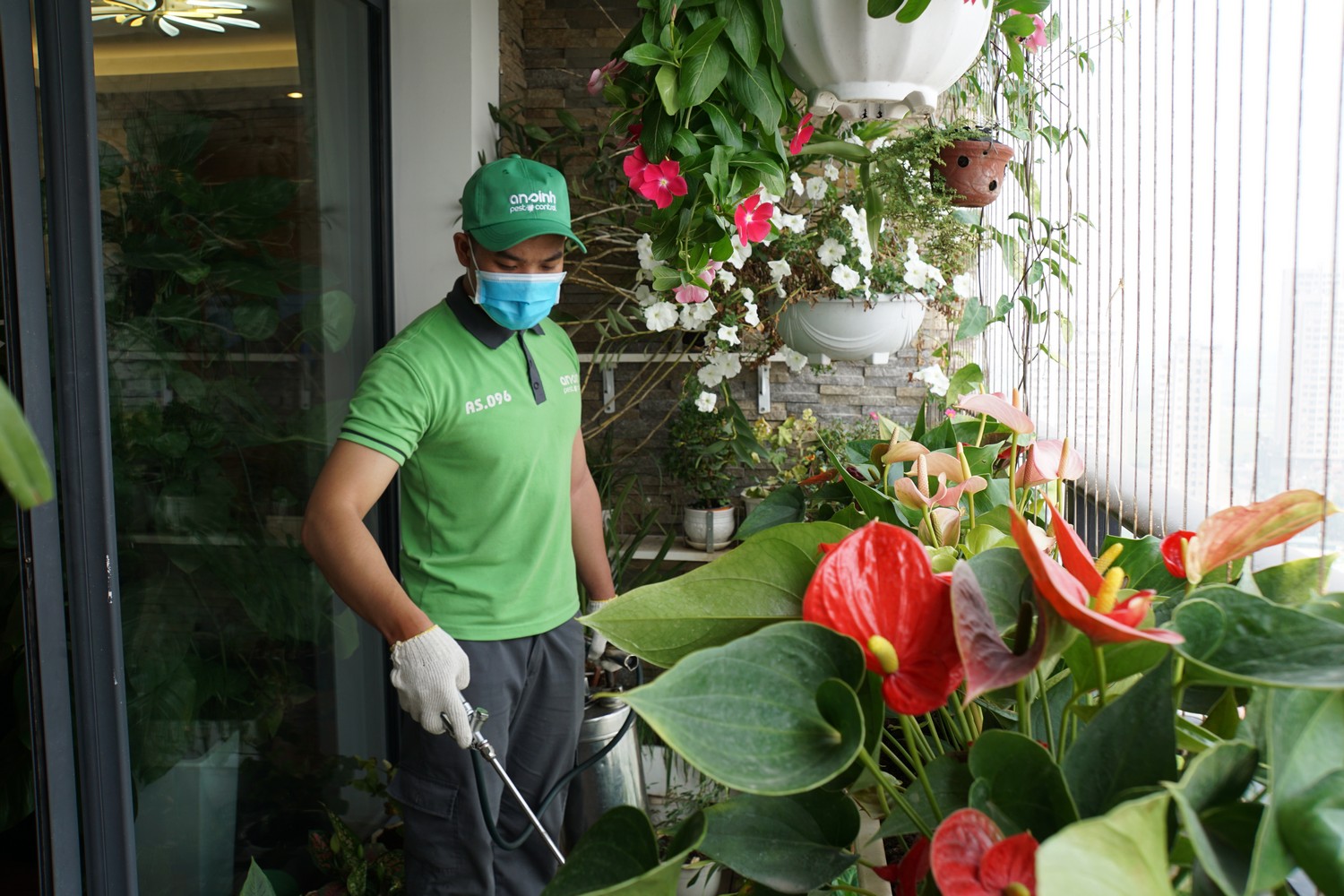 Phun thuốc diệt muỗi và côn trùng gây hại